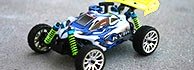 1:16 Mini Nitro RC Buggies